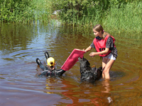 Чемпионат России по службе спасения на водах с применением служебных собак 2019 Полазна