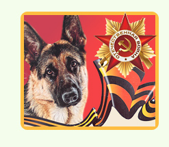 Служба собак в годы Войны, выступление 9 мая
