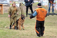 Защита собаками военных объектов и складов на войне