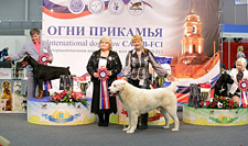 Интернациональная выставка собак Огни Прикамья - 2014