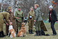 Подготовка собак к службе в армии