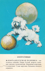 Коллекция открыточек с собаками