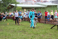 Выступление спортсменов с собаками на фестивале Сады над Камой 2019