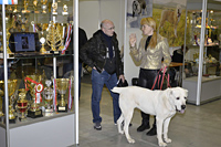 Породные стенды собак на Пермской ярмарке 