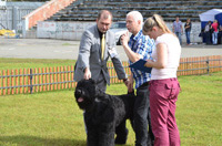Монопородная выставка собак - Русский черный терьер