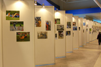Выставка фотографий Центра