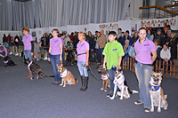 Показательные выступления собак - выставка Огни Прикамья 2014