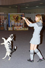 Танцы с собаками - фристайл